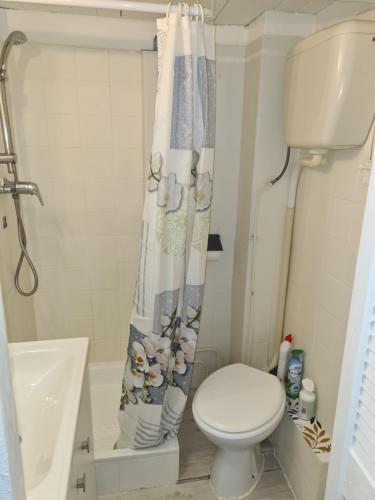 Studio- Antibes-Juan les Pins- Cote d'Azur