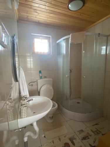 a bathroom with a shower and a sink and a toilet at Sunny Faház in Poroszló
