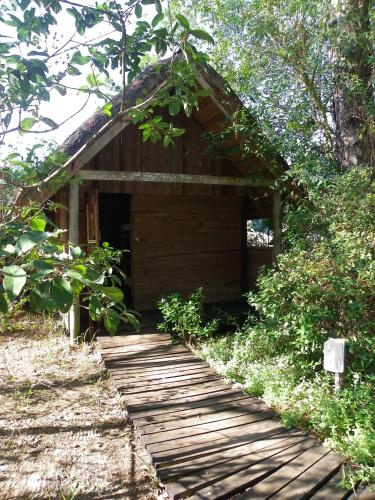 Triton Dive Lodge (Pty) Ltdにある庭