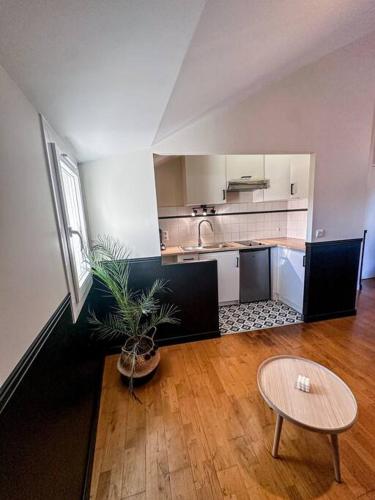 une grande cuisine avec une table et une plante en pot dans l'établissement Appartement cosy, à Souillac