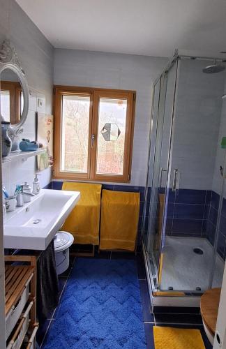 La salle de bains est pourvue d'un lavabo, de toilettes et d'une douche. dans l'établissement Au Rocher Troué, à Millau