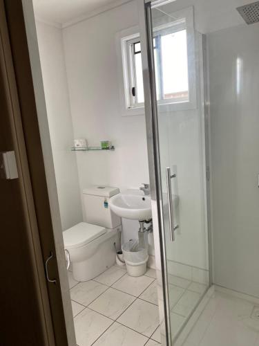 a bathroom with a toilet and a sink and a shower at Plantation Park Motor Inn in Ayr