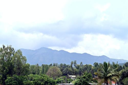 a view of mountains from a park with trees at HOMETOWN Sharu's Inn A Luxury Hotel in Chikmagalūr