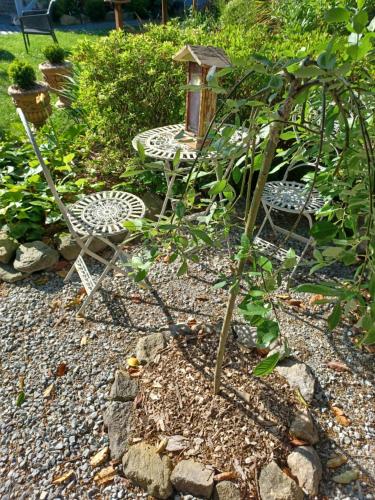 ogród z ptaszym domkiem i krzesłem w obiekcie Le Banellou w mieście Quimper