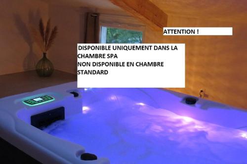 a bathroom with a large blue tub in a room at LE MAS de PAUL in Saint-Julien-de-Cassagnas
