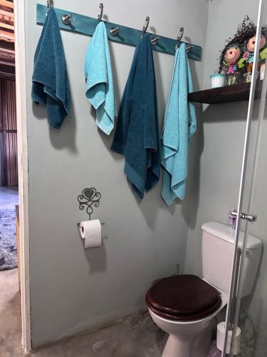 ein Bad mit WC und blauen Handtüchern in der Unterkunft Little Oak Cottage in Hopefield