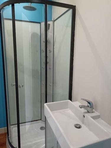 une salle de bain avec un lavabo et une douche en verre dans l'établissement Studio avec jardin, à Bourcefranc