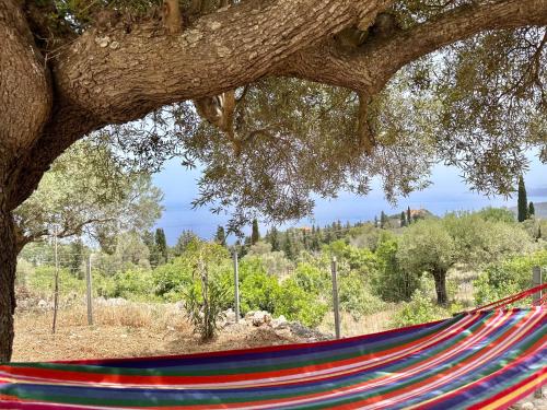 Φωτογραφία από το άλμπουμ του Trikoupis Villa στη Ζάκυνθο Πόλη