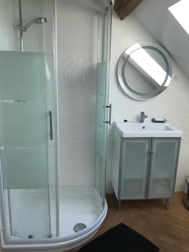 a bathroom with a shower and a sink at La maison villeroise in Villiers-les-Hauts