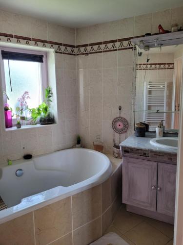 Koupelna v ubytování Charmante chaumière au coeur de la Brière