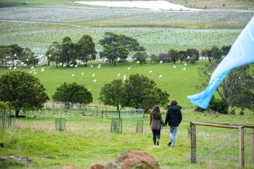 two people walking in a field with a field with sheep at Aquila Eco Retreat in Richmond