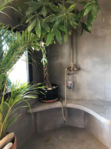 La salle de bains est pourvue d'une baignoire avec des plantes. dans l'établissement Maison familiale, coeur de ville & nature, à Crest