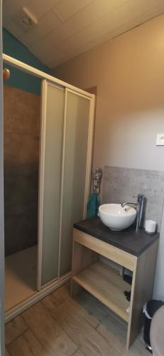 une salle de bain avec un lavabo et une douche dans l'établissement Appartement Cosy, à Bourcefranc