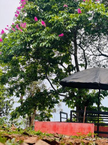 Misty Cloud Resort في فيثايراي: مظلة سوداء بجانب مقعد وشجرة