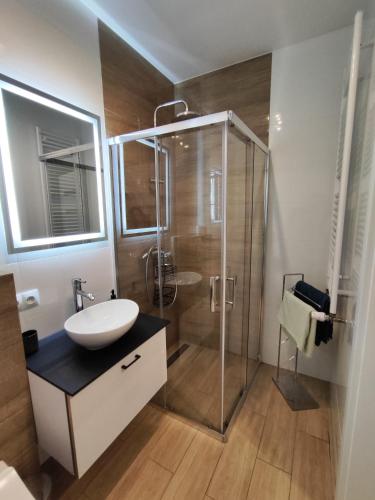 a bathroom with a sink and a glass shower at Wygodne Mieszkania Nova Mikołowska Apartamenty in Katowice