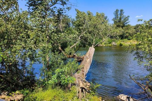 Gallery image of Camping La Chapoulière in Ruoms