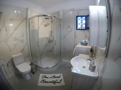 a bathroom with a shower and a toilet and a sink at Panos Apartment in Mitikas