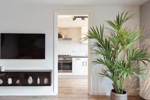 a white kitchen with a tv and a plant at Beach&Dunes Apartment in Zandvoort
