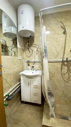 a bathroom with a sink and a shower at Villa Wood Borje in Žabljak