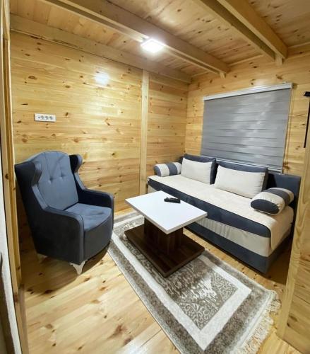 a living room with a couch and a chair at Villa Wood Borje in Žabljak