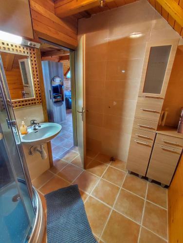 a small bathroom with a sink and a shower at Vineyard cottage Kralj in Uršna Sela