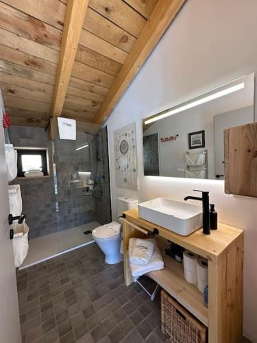 une salle de bain avec un lavabo, des toilettes et une douche dans l'établissement Moixeró casa en Estavar, à Estavar