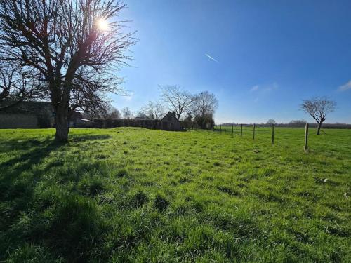 a field with a tree in the middle of a field at Ancien gîte de chasse, calme & nature in Saint-Michel-Tubœuf