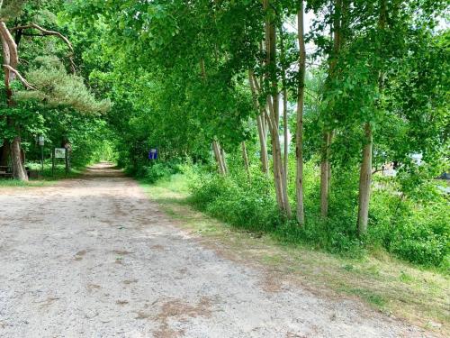 a dirt road with trees on either side at Modernes Waldhaus am Wasser I Whirlpool I Kamin I Feuerschale in Matzlow-Garwitz