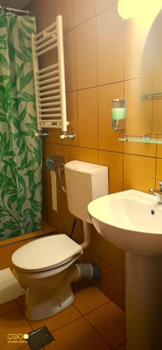 a bathroom with a toilet and a sink at Casa Moroeni in Moroeni