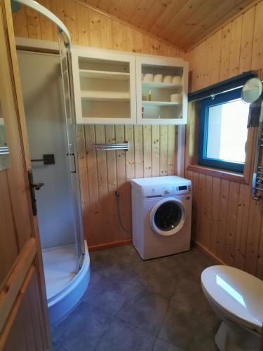 a bathroom with a washing machine and a shower at Leśne Wspomnienia in Niesiołowice