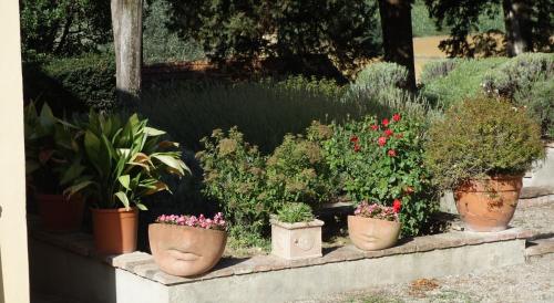 a row of potted plants on a stone ledge at Bella di Ceciliano in Arezzo