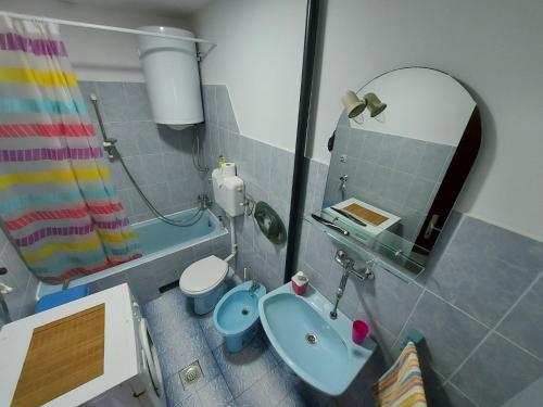 a bathroom with a sink and a toilet and a mirror at Apartman Velojić in Donji Milanovac