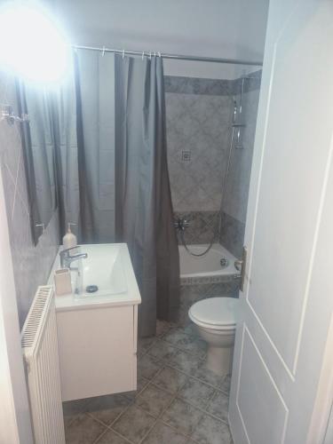 a bathroom with a sink and a toilet and a shower at Comfortable Apartment close to Rafina port in Rafina