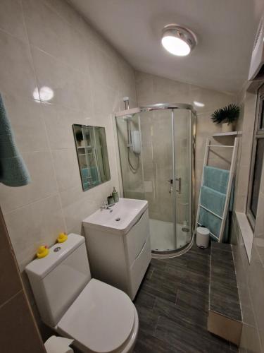 a bathroom with a shower and a toilet and a sink at The Nu Place Suite in Tralee