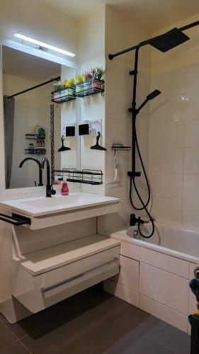 une salle de bain avec un lavabo, une baignoire et un miroir dans l'établissement Home Sweet Home, à Saint-Denis