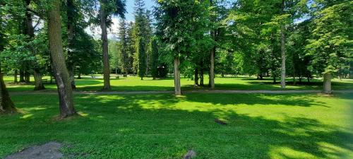 a park with a lot of trees and green grass at Apartmán B3 Turčianske Teplice in Turčianske Teplice