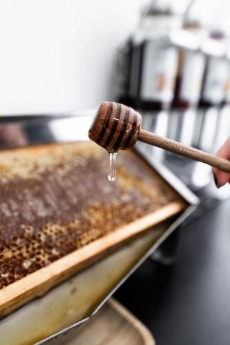 a person holding a wooden spoon with a droplet of honey at Villa Liliana in Cervia