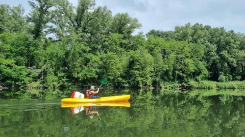 Gallery image of Camping La Chapoulière in Ruoms