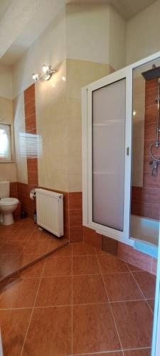 a bathroom with a shower stall and a toilet at Apartments Villa Bella Vista Hvar in Hvar
