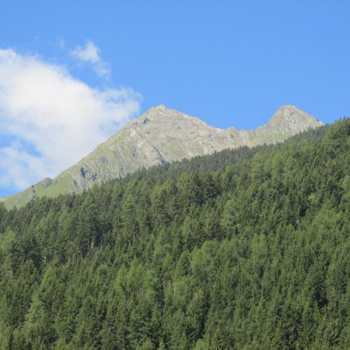 a mountain covered in green trees in front at Haus Troger in Milders