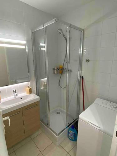 une salle de bain avec douche et lavabo dans l'établissement Logement proche de la plage, à Nice