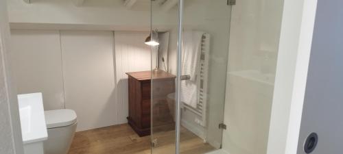 a bathroom with a toilet and a glass shower door at Quinta da Soneca in Alandroal