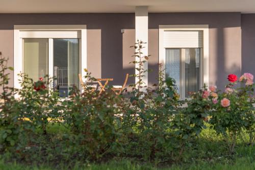 Сад в Casa Bohemia B&B