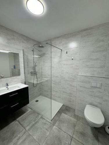 une salle de bain avec une douche, des toilettes et un lavabo dans l'établissement T2 neuf vue mer proximite plage, à Propriano