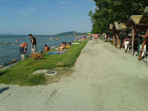 a group of people laying on the grass near a beach at Munkácsy Apartmanok in Balatonfenyves