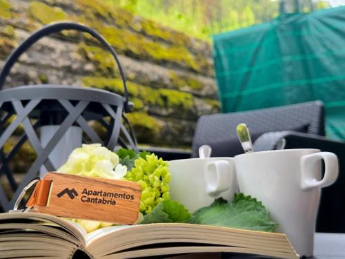 an open book on a table with cups and grapes at Villa Mercedes - 17001 in Santoña