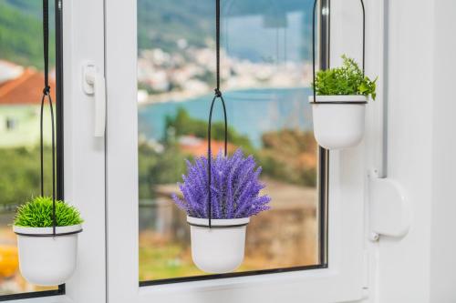 two potted plants on a window sill at Villa Laganini Apartment 2&4 in Podaca