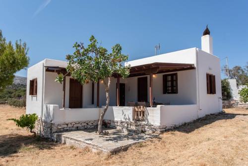 a white house with a tree in front of it at Black Sand in Moutsouna Naxos