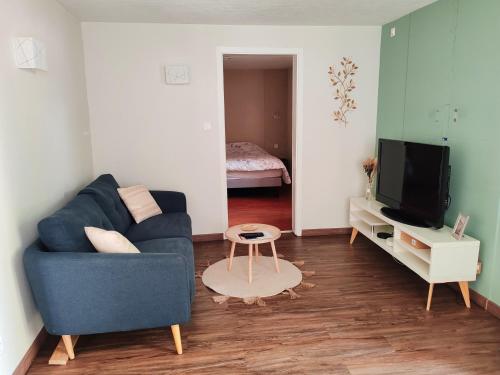 ein Wohnzimmer mit einem blauen Sofa und einem TV in der Unterkunft Le Cocon du bord de l'Ill in Illhaeusern