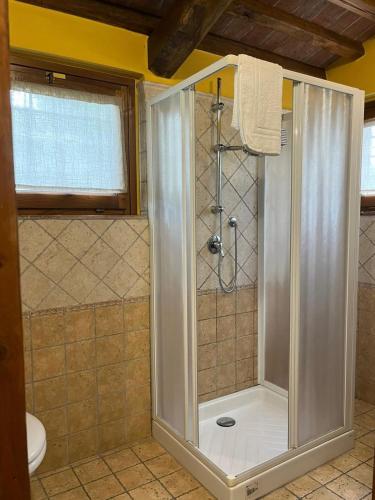 a shower with a glass door in a bathroom at Sibolla Holidays in Altopascio